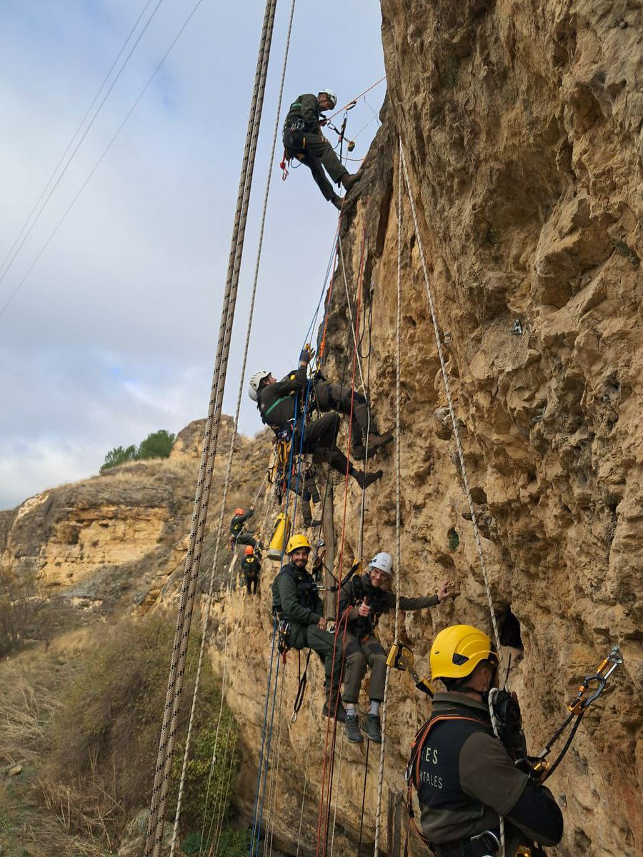 🚔🌳Asoc. Agentes Medioambientales CLM tweet media