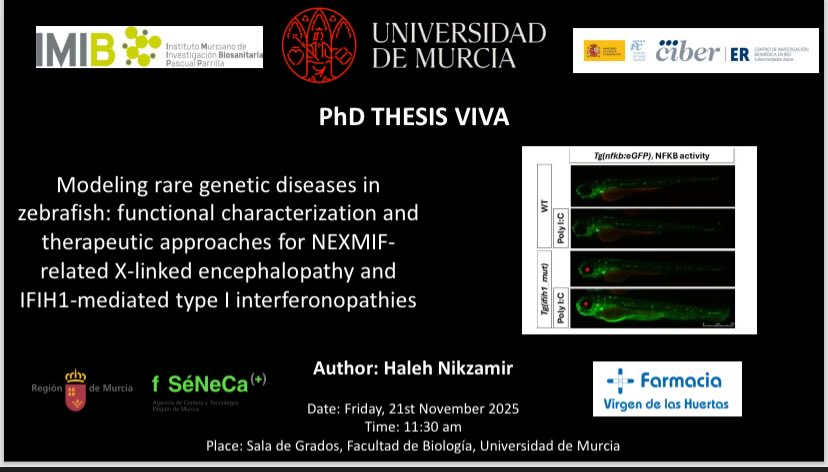 IIC_UMU_IMIB's tweet image. 📅 November 21st, 11:30 AM
📍 Sala de Grados, Faculty of Biology, University of Murcia

Let’s support research that truly males a diferente! 💚✨