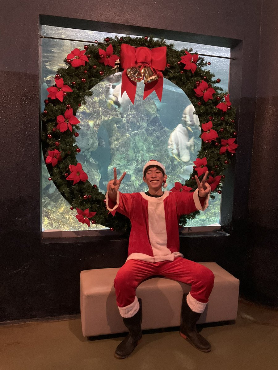 ＼はじまるよー！／
明日からサンタダイバー始まります🎅✨餌付けショーのときは写真撮影も大歓迎！みんな寺泊においでー🤍
餌付けショーの時間↓
10時15分/11時30分/13時30分/15時00分