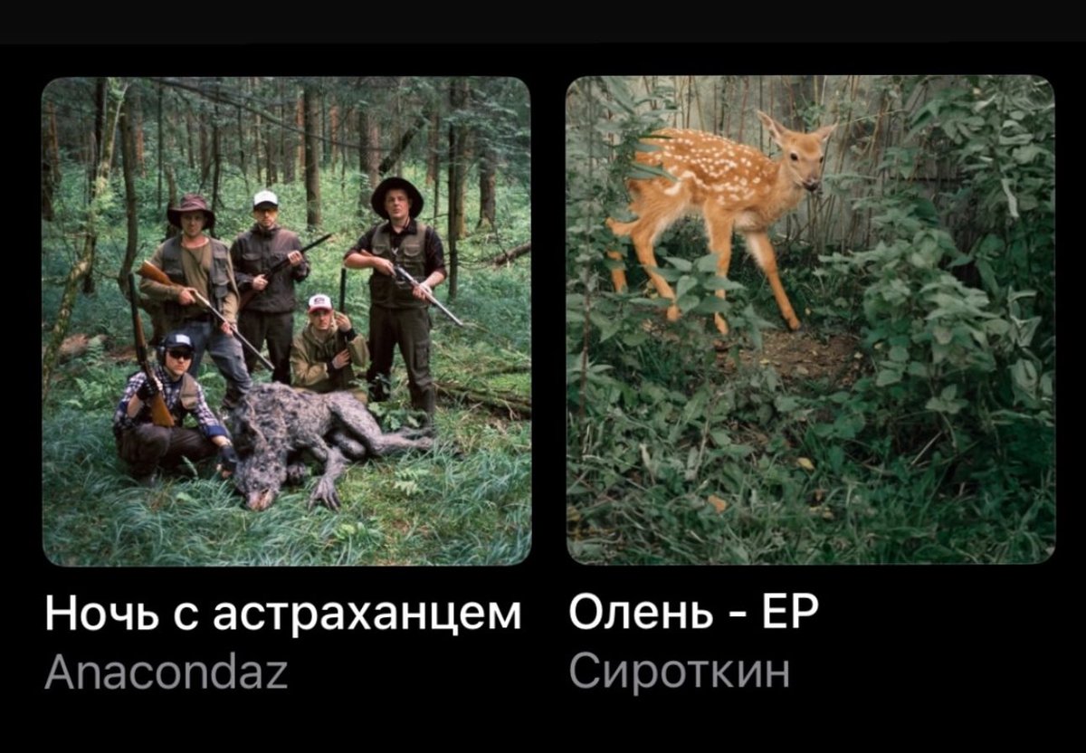 Спасли бэмби🙏🏿💪🏿