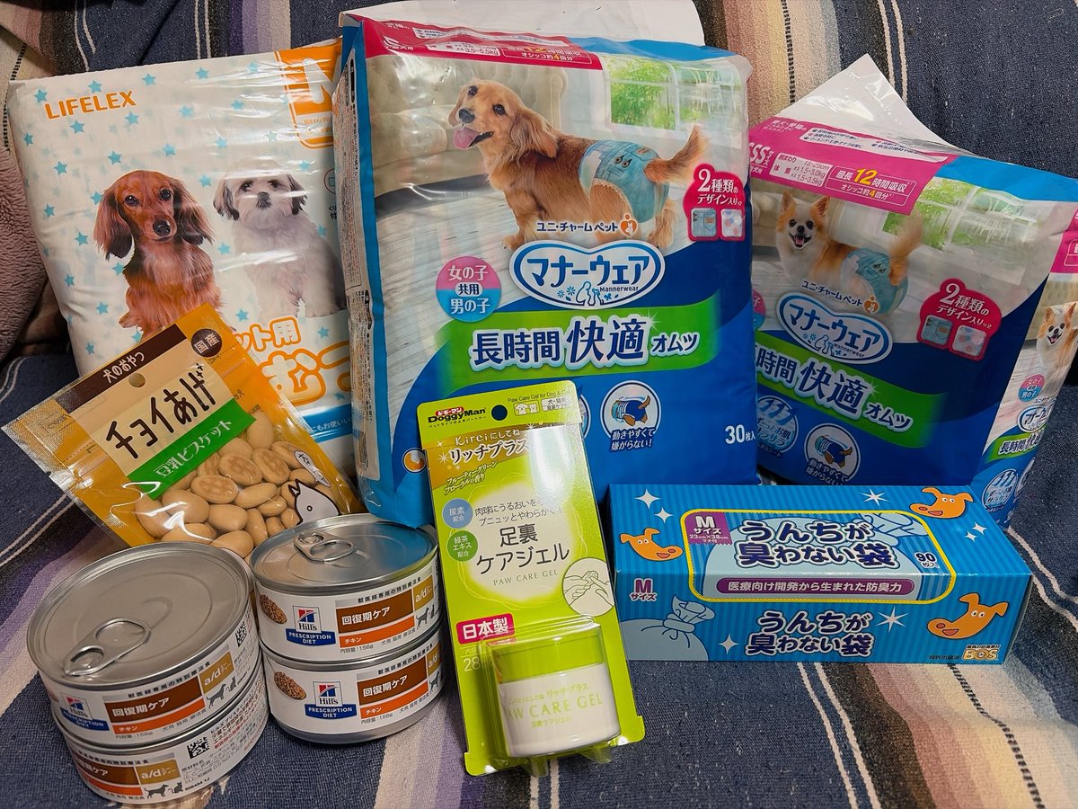 singer_mayu_mi's tweet image. 先日のC-MAP FESでは、物販にたくさんの方がお越しくださり本当にありがとうございました✨
売上の一部で、私が関わっている保護犬シェルターへ物資を届けてきました🐶🌺
みなさんのお気持ちに心から感謝です。
ありがとうございました😊💕

#ありがとうございました
#保護犬のためにできること
#CMAP