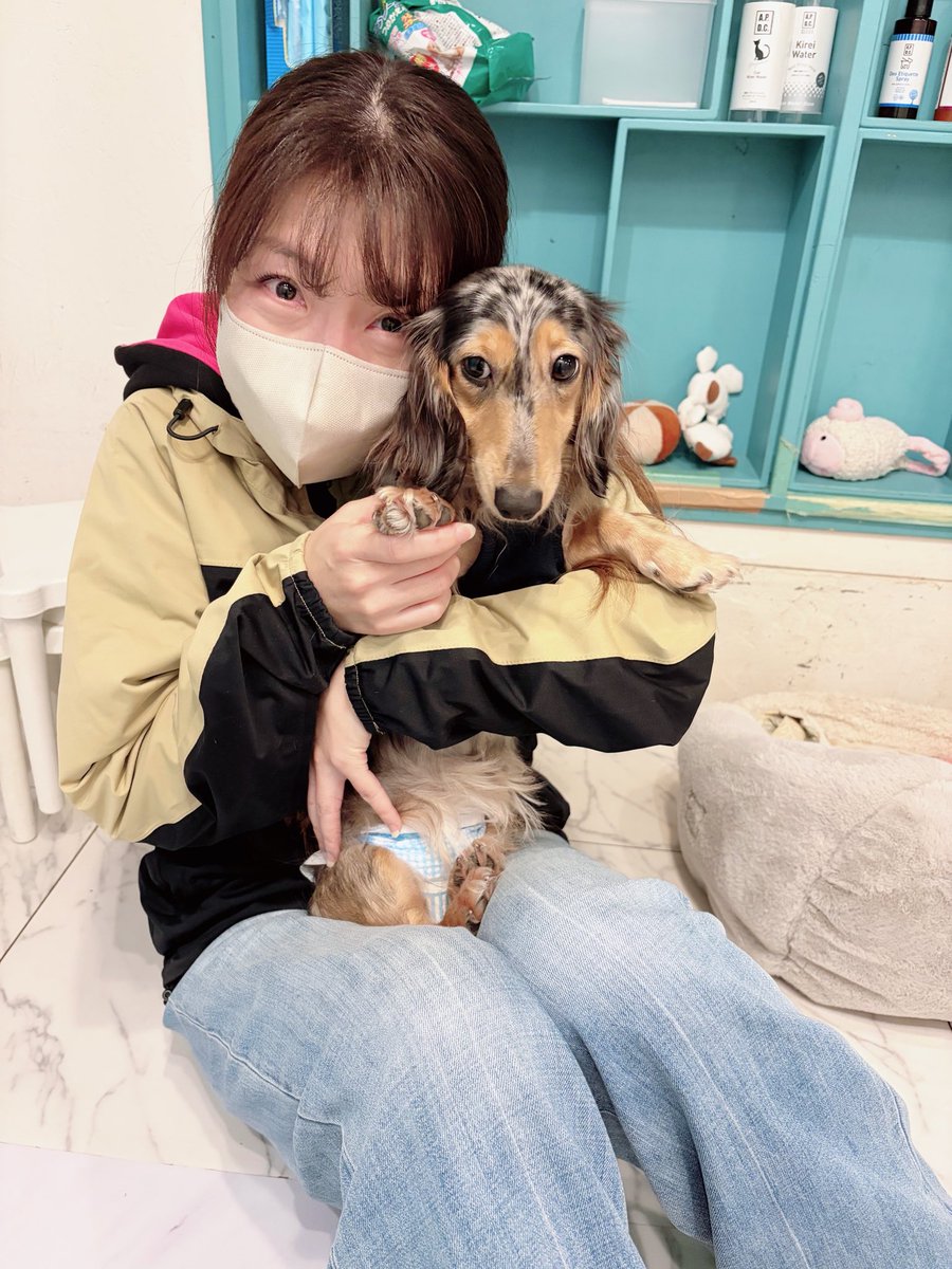 singer_mayu_mi's tweet image. 先日のC-MAP FESでは、物販にたくさんの方がお越しくださり本当にありがとうございました✨
売上の一部で、私が関わっている保護犬シェルターへ物資を届けてきました🐶🌺
みなさんのお気持ちに心から感謝です。
ありがとうございました😊💕

#ありがとうございました
#保護犬のためにできること
#CMAP