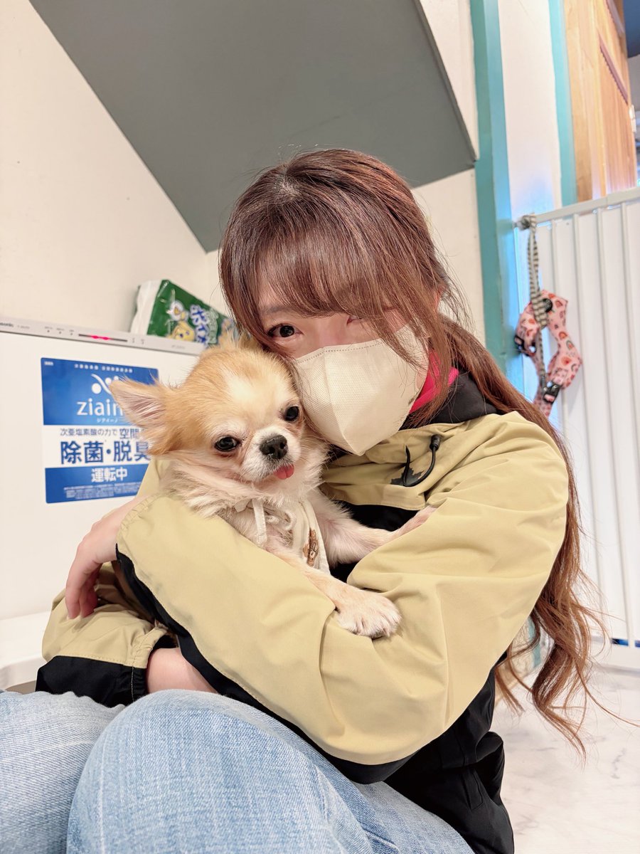 singer_mayu_mi's tweet image. 先日のC-MAP FESでは、物販にたくさんの方がお越しくださり本当にありがとうございました✨
売上の一部で、私が関わっている保護犬シェルターへ物資を届けてきました🐶🌺
みなさんのお気持ちに心から感謝です。
ありがとうございました😊💕

#ありがとうございました
#保護犬のためにできること
#CMAP