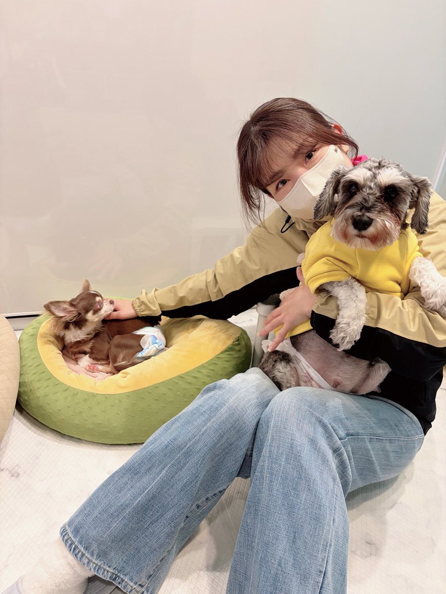 singer_mayu_mi's tweet image. 先日のC-MAP FESでは、物販にたくさんの方がお越しくださり本当にありがとうございました✨
売上の一部で、私が関わっている保護犬シェルターへ物資を届けてきました🐶🌺
みなさんのお気持ちに心から感謝です。
ありがとうございました😊💕

#ありがとうございました
#保護犬のためにできること
#CMAP