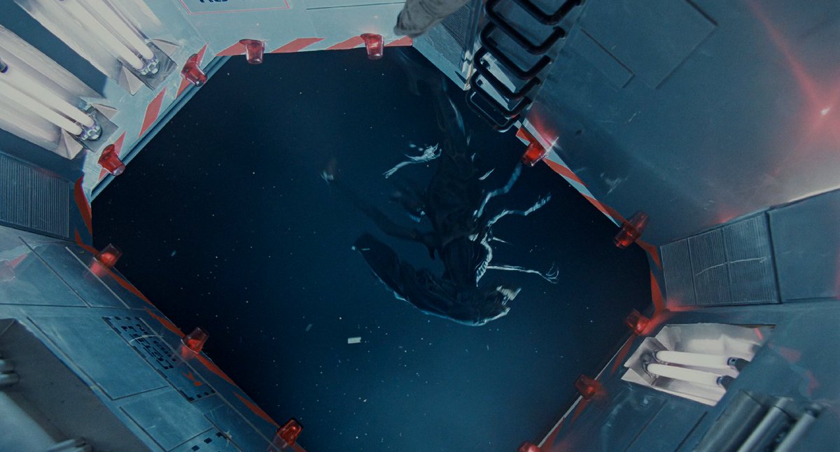 morph_chris's tweet image. Aliens (1986) #Aliens #sreenshots #ripley #aliensextended