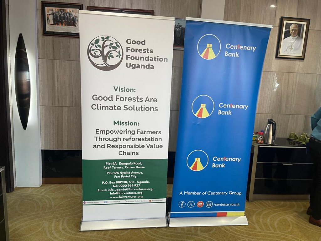 JamesThembo_'s tweet photo. Proud to kickstart a new partnership with @CentenaryBank to plant and grow trees π± in #Kasese.
This partnership will be kickstarted with a launch at the @kaseseDLG next week on the 26th.
@GoodForestsUg and its partner @FairventuresUg has already planted 1,054,000+ trees with a 78% survival rate and weβre just getting started ππ
This #Partnership means more green spaces, empowered farmers, restored riverbanks and a stronger, more resilient Kasese π
Here to grow a climate hope, together. π±π€ @ROOTSUganda @min_waterUg
