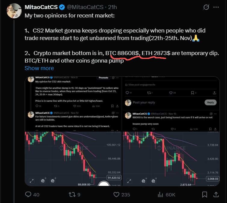 MitaoCatCS tweet media