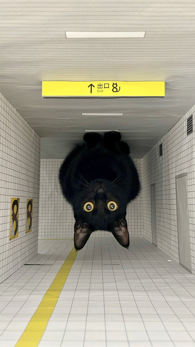 Teagle_Noir's tweet image. 目がバグる写真をどうぞ