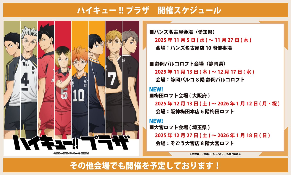 ナツです。(ハイキュープラザの商品) ナツです。(ハイキュープラザの商品) ナツです。(ハイキュープラザの