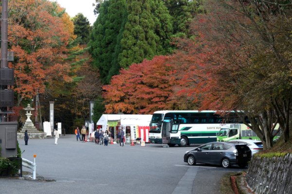 11月21日午後中撮影の写真で週間もみじ通信Vol.4更新しました。 今週で