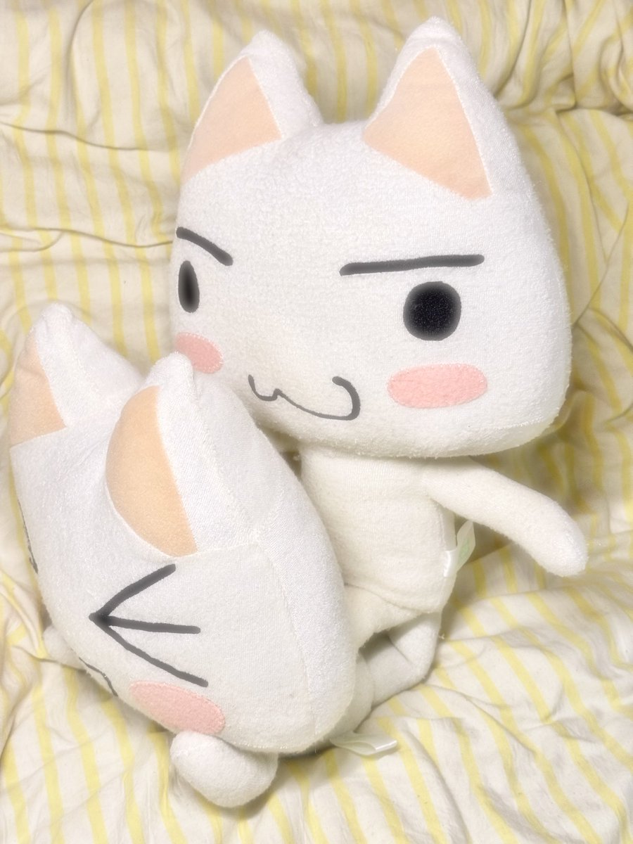 kikukawamio's tweet image. 第三弾 #どこでもいっしょ #トロ #dokodemoissyo #toro #sonycat