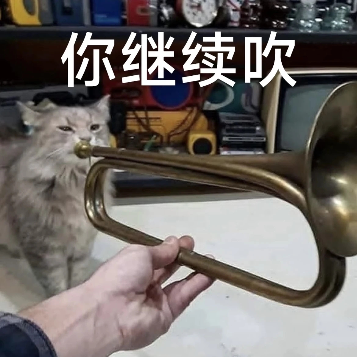 FunctionFu2858's tweet image. 接着奏乐，接着舞