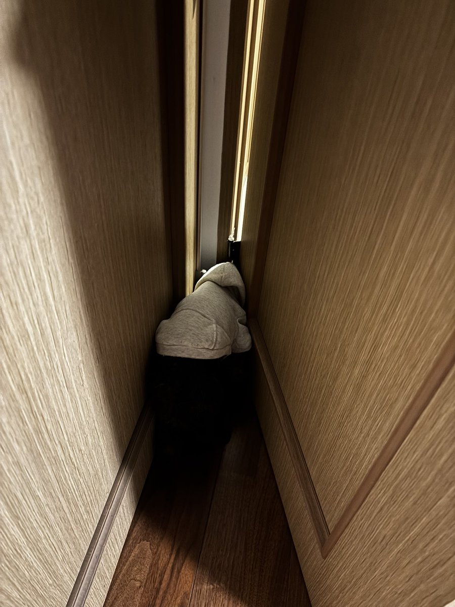 K_kkkk8's tweet image. くぅーちゃん痙攣収まりました😭😭
奇跡の復活😭
ご飯もよく食べ、💩もして、角を探して歩いてます！てんかんの薬は飲み続けてるけどこれで収まってくれることを願います。
心配してくださった方々ありがとうございます。とりあえず様子見です！