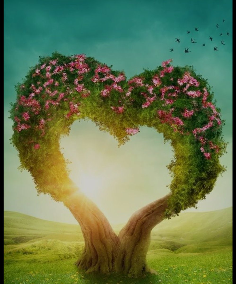 Huzurunuz ve umudunuz ile her daim dualarınız kabul olsun. 

Hayırlı Cumalar