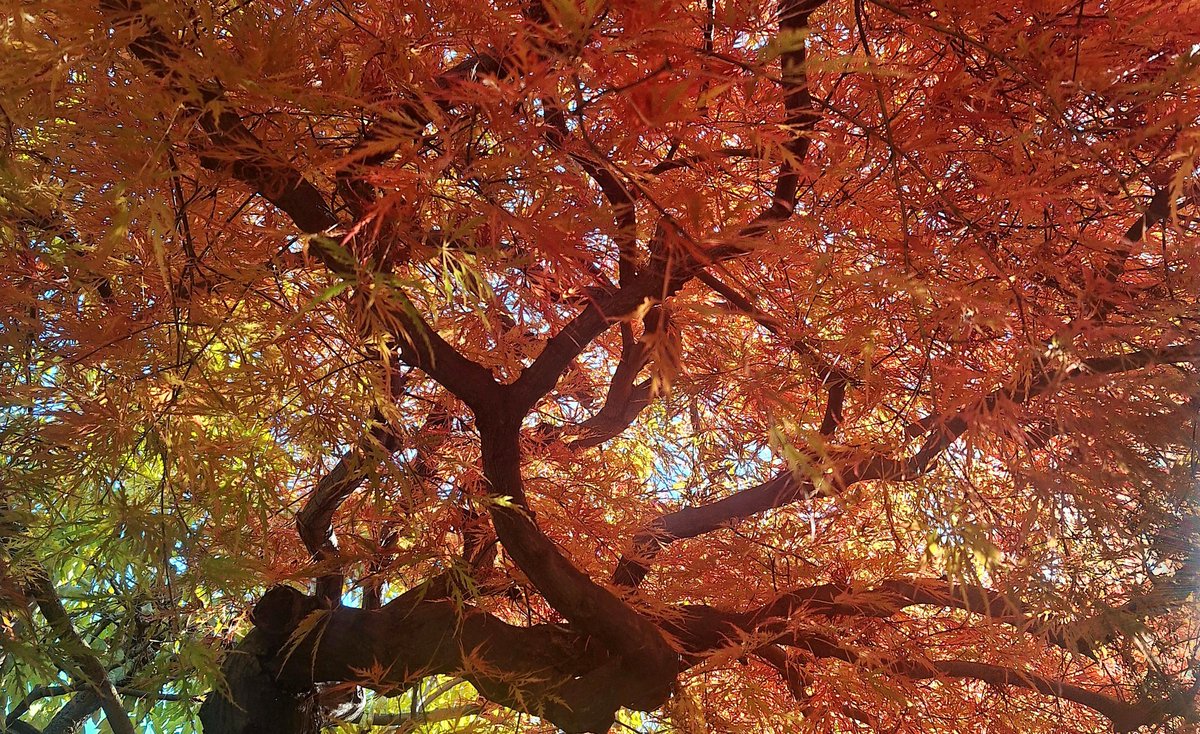 🍫🍗
食料品、建築費、いろんな物が高騰。
収入は上がらないから生活が凄く大変です。総理これインフレですよね‼️