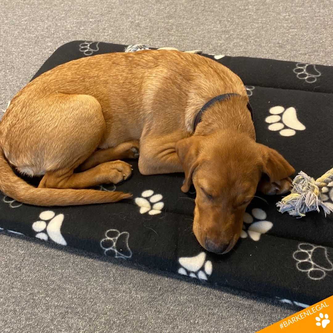 Arken.legal tweet media