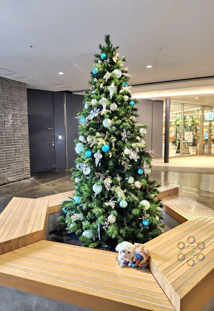 micra_ms_sp's tweet image. もう色んなとこがクリスマスモードで写真撮るのがとても楽しい❤️🎄💚
私は年中クリスマスって呼ばれたことあるくらい昔からクリスマス好き🥳
#MSSPフォト