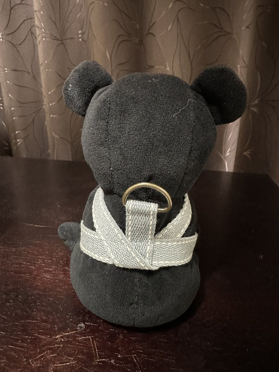 ムッスメのぬいのハーネスを作ったぞー💪(  ˙꒳​˙💪  )
今度旅行行くんだが、絶対連れてくって言うんだもの……無くしたら大変なのでね……！バックルもう少し小さいサイズのが欲しかった🥺