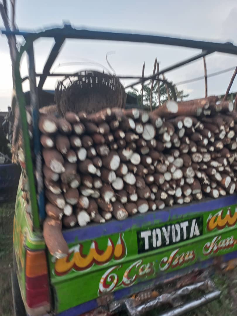 ProfitableMan tweet media