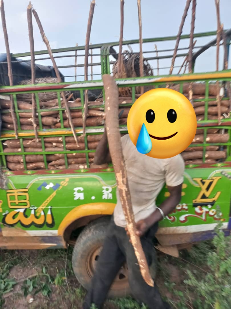 ProfitableMan tweet media