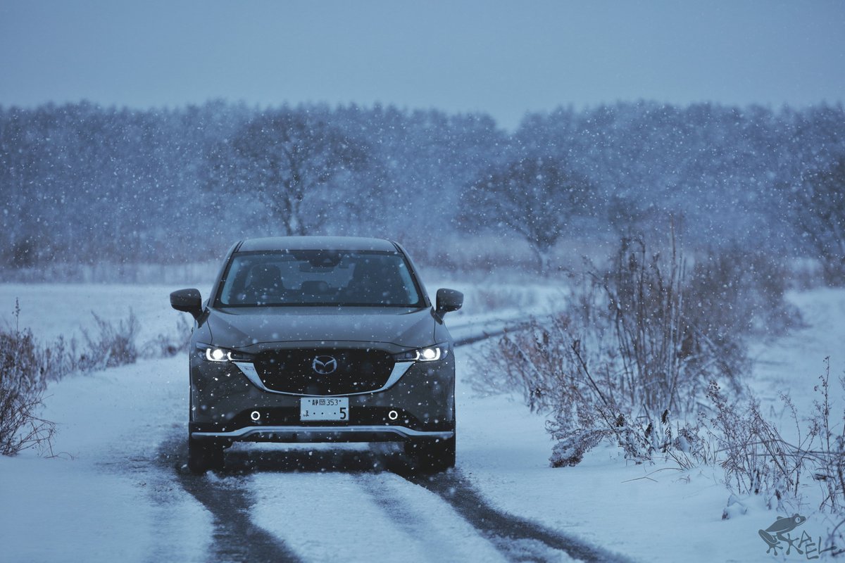 cx5_with_frogs's tweet image. #天候が悪い時の愛車の写真を上げろ