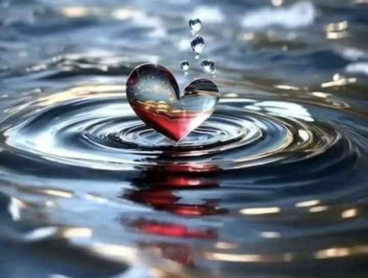 .
*الـثــقـة:*
*ليست مجرد شعور ، إنها مجازفة تُشبه أن تُلقي قلبك في البحر ،* *وتنتظر أن يعود إليك عائماً لا غارقاً..!*.        #الثقة