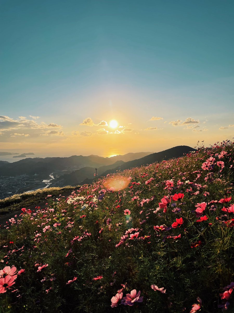 美しい景色は明日を生き抜く力になる。