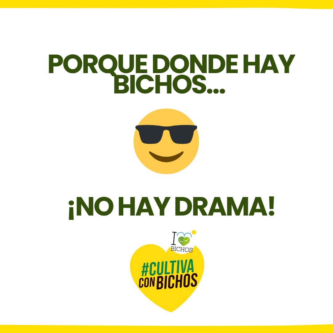 Entra una mosca blanca al invernadero pensando que va a tener un buen día... Y Nesidiocoris tenuis ya la está esperando con cubiertos 🍴👀
Así funciona el control biológico: sin estrés, sin residuos y con nuestros aliados naturales al mando 💪🐝🕷️