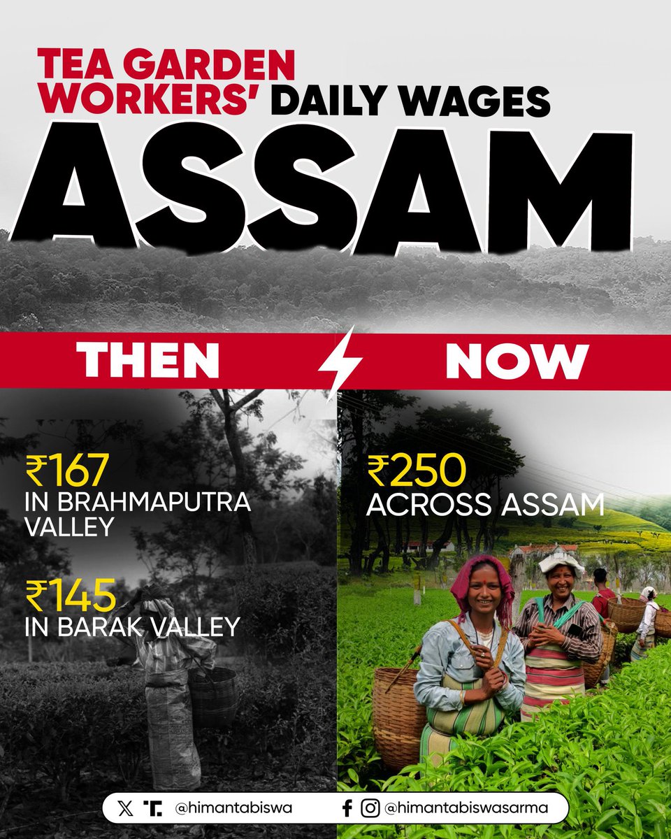 DilipSaikia4Bjp's tweet image. Transforming lives with decisive governance!

Assam’s tea garden workers now receive ₹250 daily wages across the state, a significant jump from the earlier ₹167 in Brahmaputra Valley and ₹145 in Barak Valley.

A landmark achievement under the leadership of Hon’ble CM Dr.…