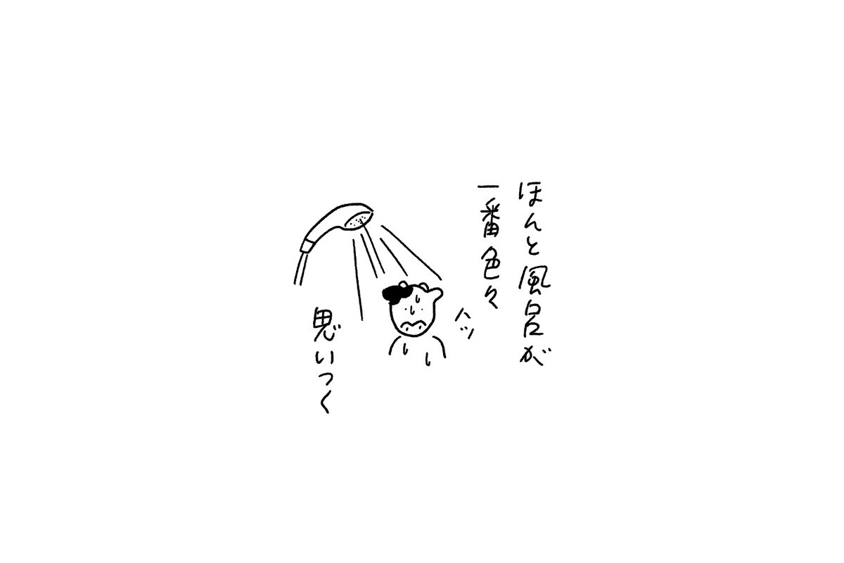 11月🐿️