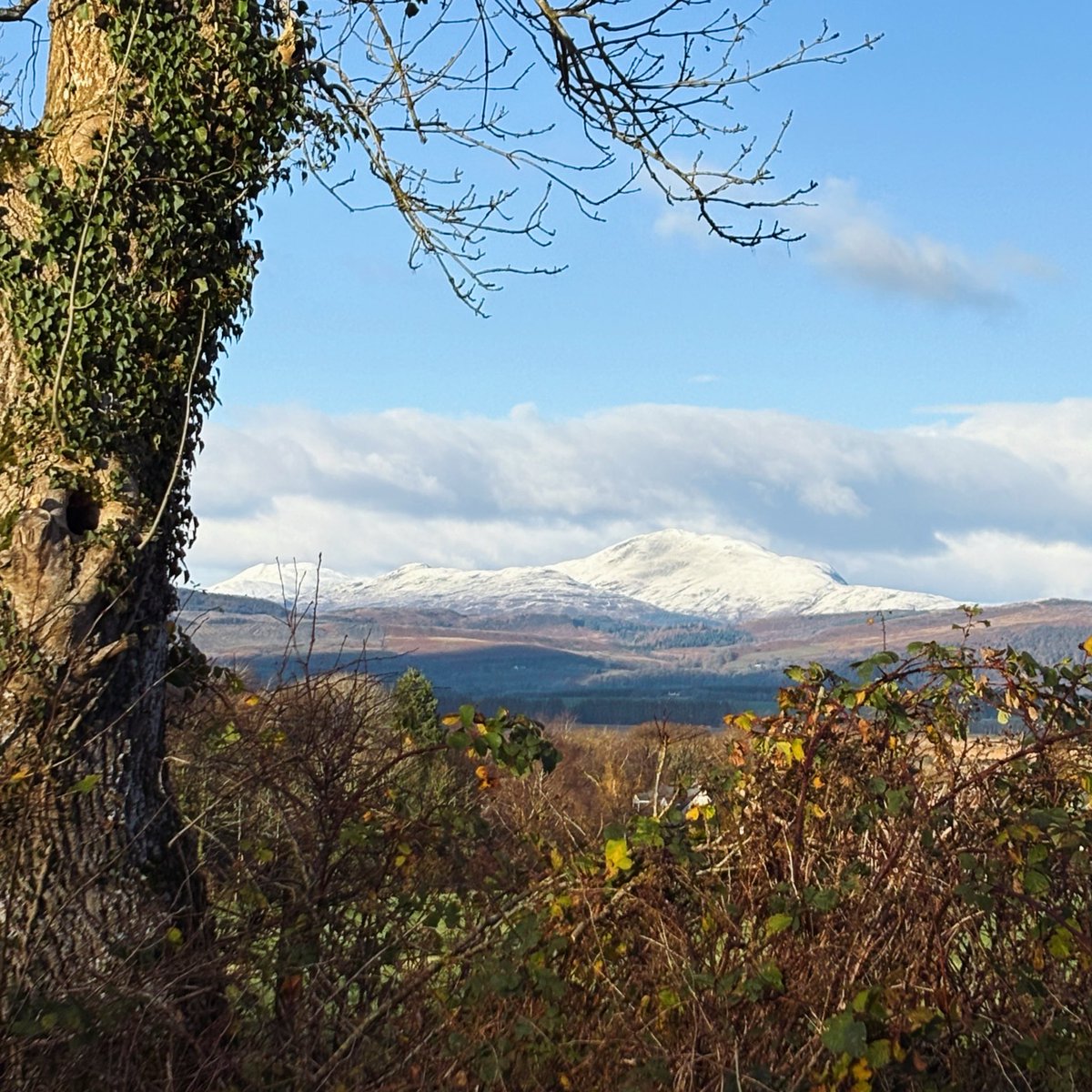 DearUniverse_cs's tweet image. Been surrounded by so much beauty these last few days, my photos don’t do it justice. Everywhere I’ve gone, the vast, open landscapes are framed by these gorgeous snow-capped bens. Feeling so grateful. Wish I could share the actual view with you all… my rubbish little phone…