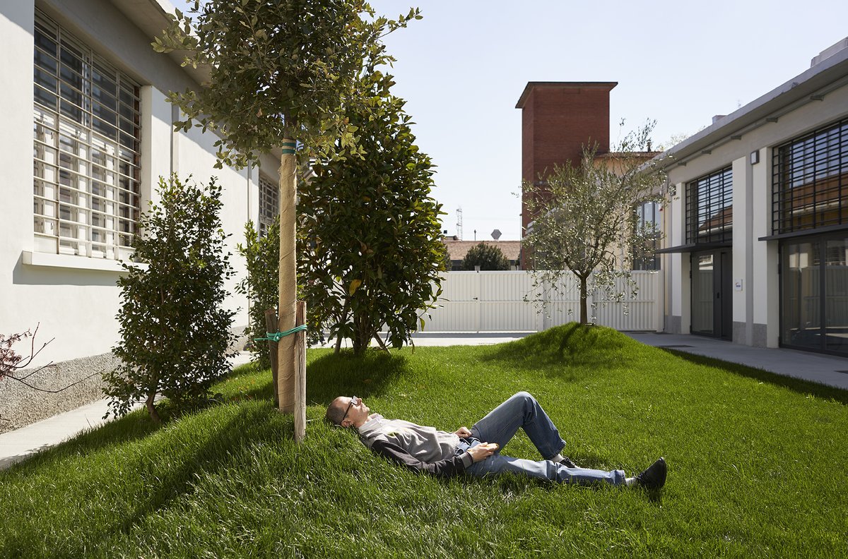 develer's tweet image. 🌳 Gli alberi sono santuari. Chi sa parlare con loro, chi sa ascoltarli, conosce la verità. Hermann Hesse 
Buona #giornatanazionaledeglialberi!