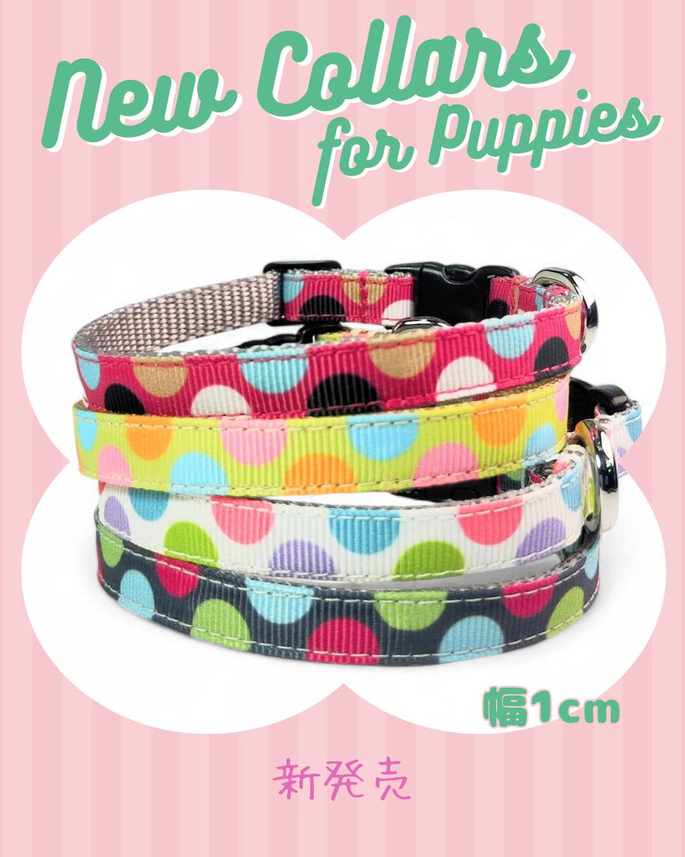 MontanaDog モンタナドッグ (@MontanaDog16) / Posts / X