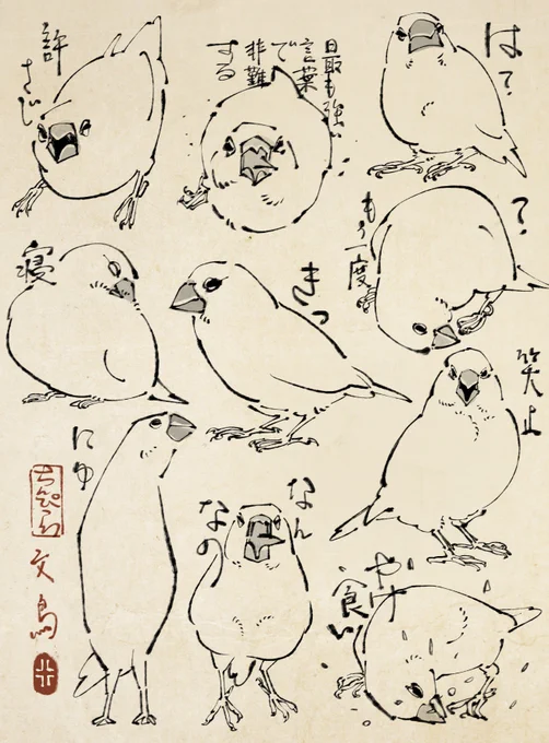 「文鳥、むかつきすぎてやけ食いすると知ったのが本日の気づき🐧💢」
#ちんぴらキャンペーン 