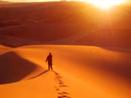 لا تظنّ أن شبهة تُثار حول دينك وليس لها جواب؛ فوالله ما من شبهة إلا وقد كُشِف زيفها وردّ عليها أهل العلم منذ عشرات السنين. فقط ابحث عمّن فنّدها إن لم تستطع أنت ذلك، واثبت على يقينك وثقتك بدينك مهما سمعت من كلامٍ مُشتّت؛ فكل تلك الشبهات في حقيقتها هباءٌ منثور لا تقوم أمام العلم