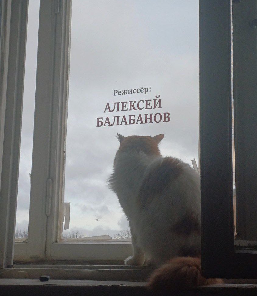 Рэп-коллективом Anacondaz подарены очередные великие строки ЗА ОКОШКОМ БАЛАБАНОВ/НА ДУШЕ КАК ТО ПОГАНО

буквально сейчас