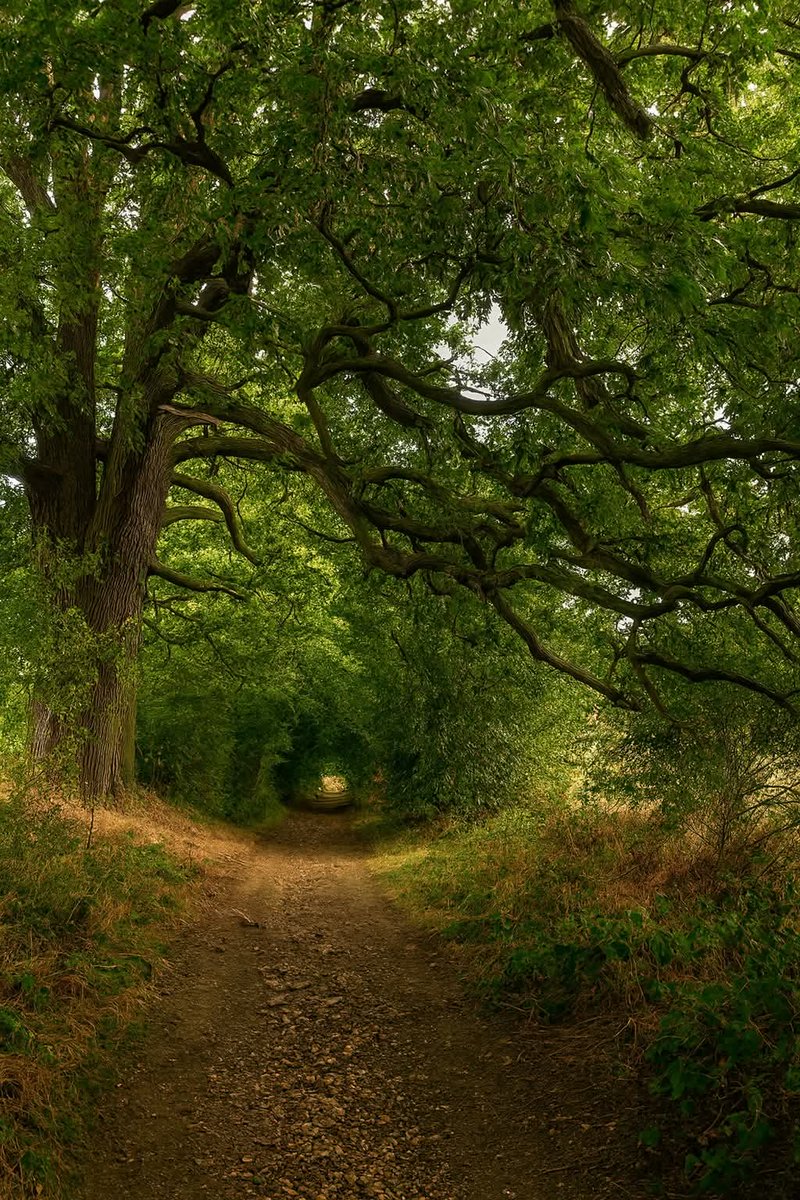 Globe32048's tweet image. A picture kissed by sunlight ☀️
Good Friday! #FridayVibes