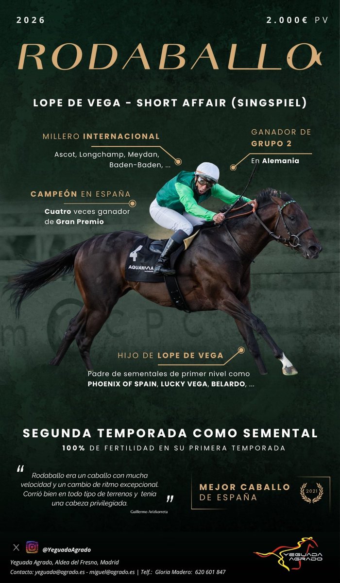 YeguadaAgrado's tweet photo. 𝙍𝙊𝘿𝘼𝘽𝘼𝙇𝙇𝙊
Segunda temporada como semental del mejor caballo de España 2021 🇪🇸
🏆 Millero internacional cuatro veces ganador de Gran Premio y ganador Grupo 2
𝟭𝟬𝟬% de fertilidad en su primera temporada
#Rodaballo https://t.co/mvA0IWuIWc