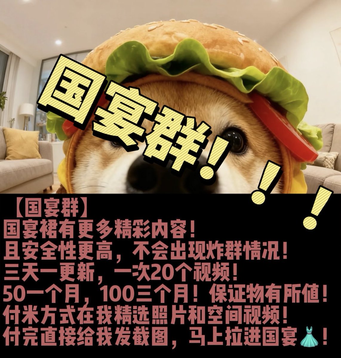 MoMoPuppyKing tweet media