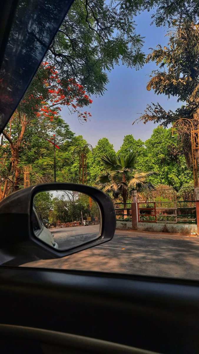 Good afternoon

I sat in the car, watching the sun warm the trees, and it felt like the day was asking me to slow down.