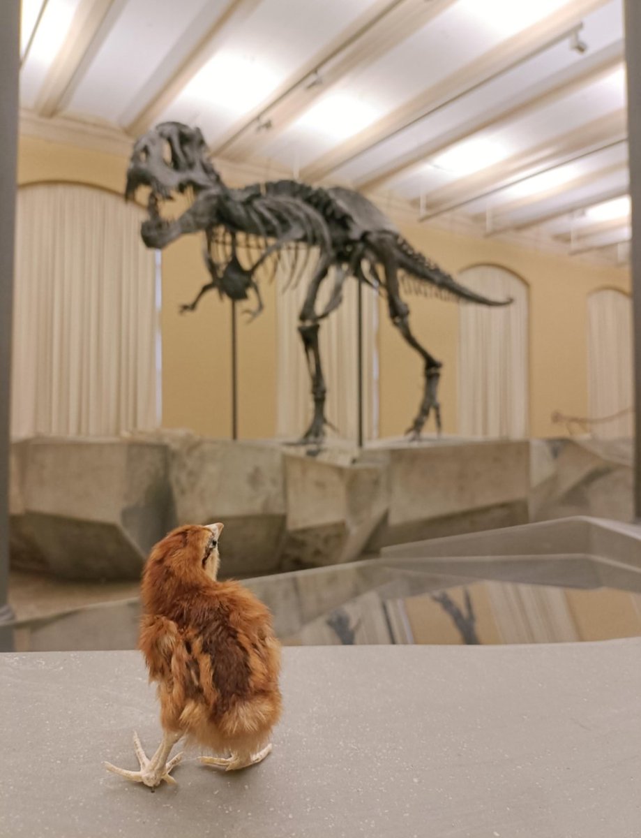 GRICA-BIOpast UDC tweet media