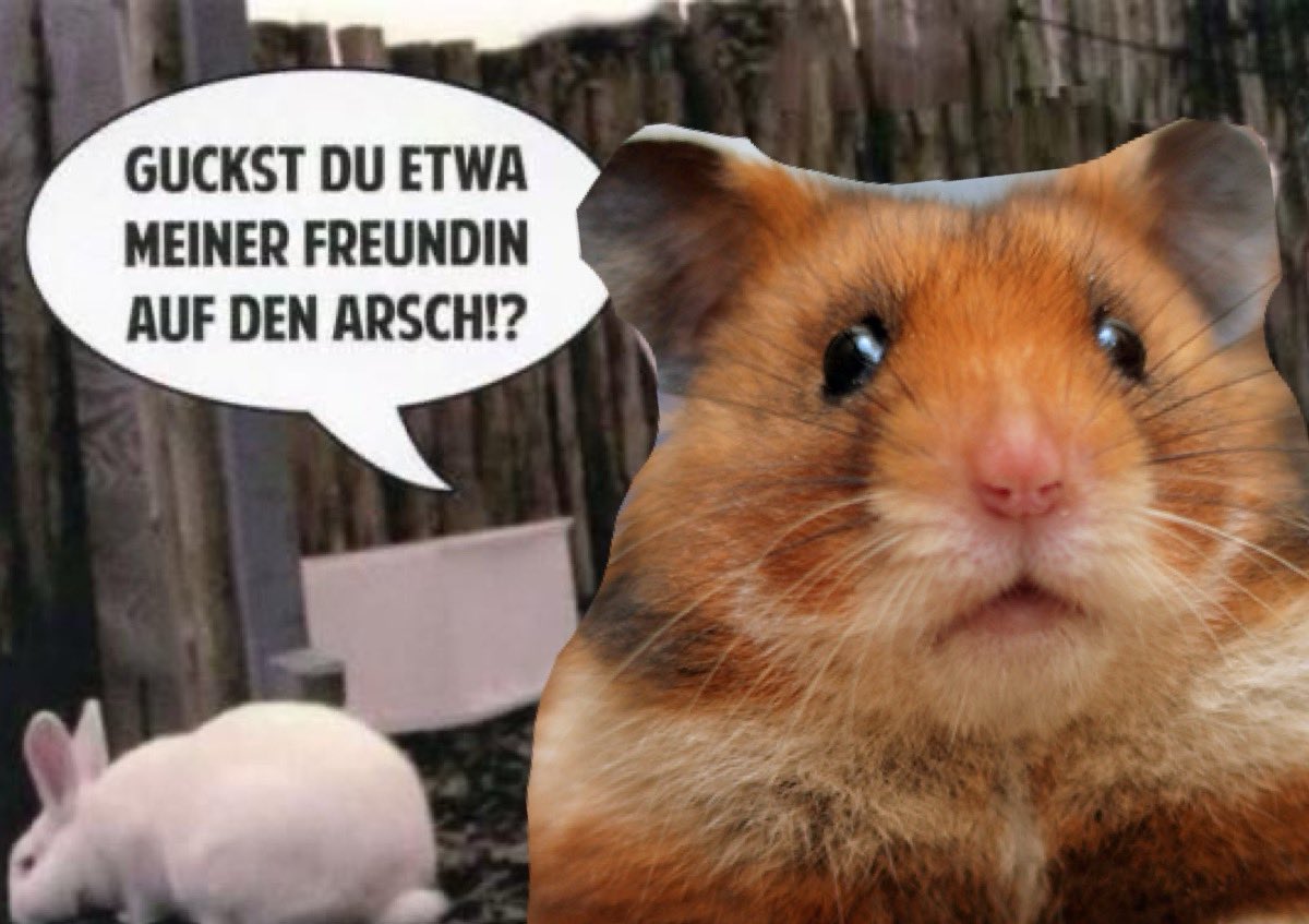 Wie <a href="/Hamaligator/">Hamtaro⁴²</a> reagiert, wenn der Vogel einen Blick auf <a href="/SoldiersTeez/">SoldiersTeez</a> wirft