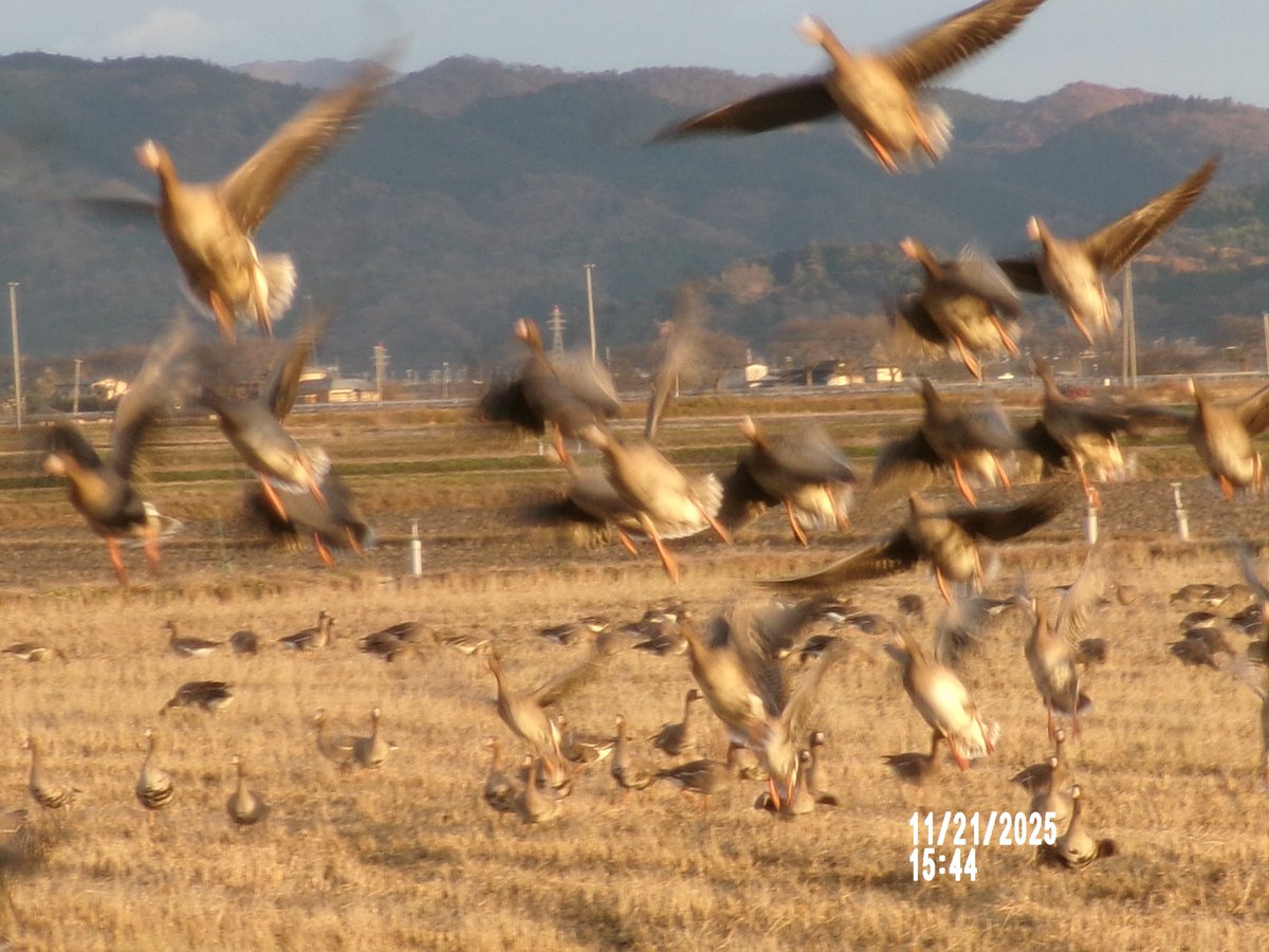 のりちゃんページ ここでちょっと～😑➰🧐。（・・飛び立ち〜😅。）