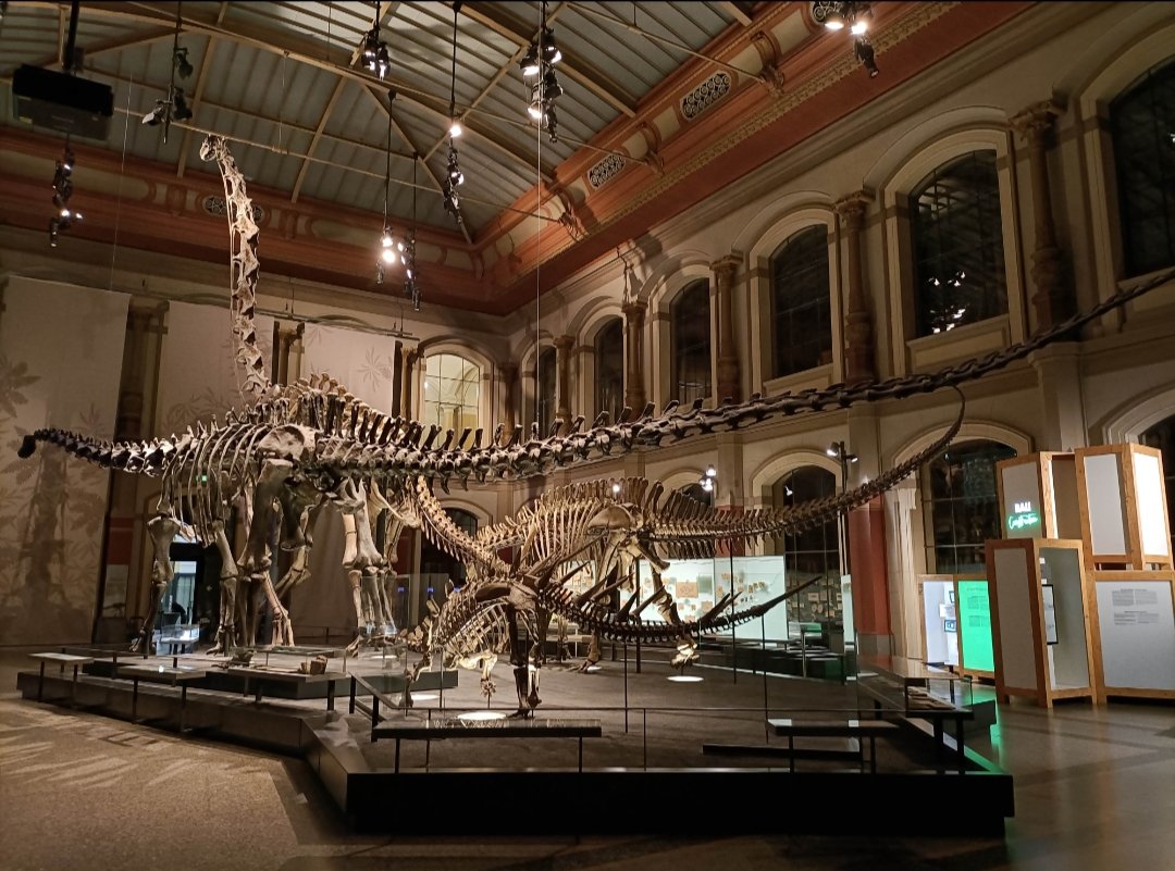 GRICA-BIOpast UDC tweet media