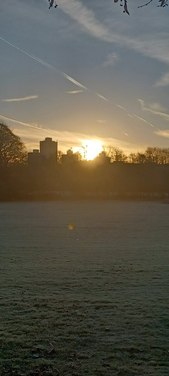 D L Z (@dlzfilms) on Twitter photo 