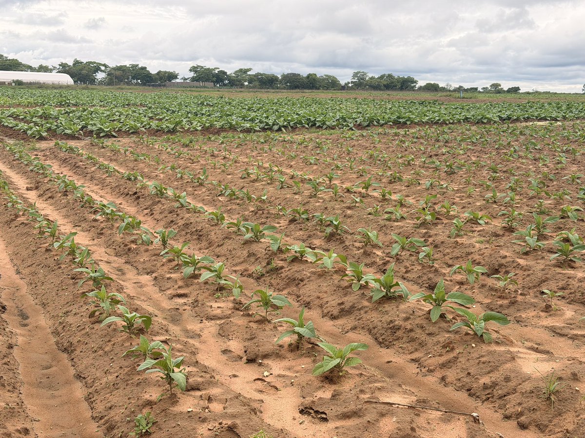 CP Chemicals Pvt Ltd tweet media