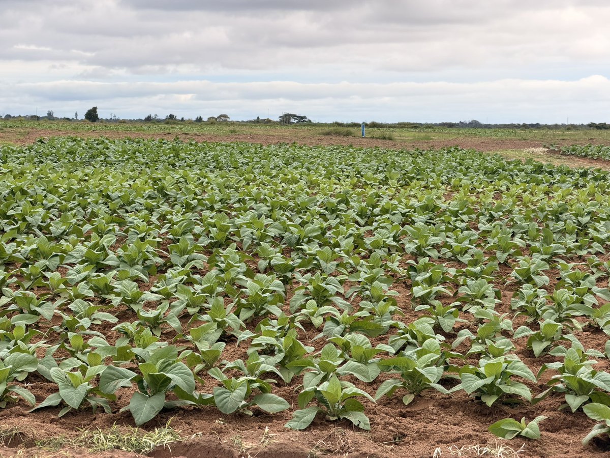 CP Chemicals Pvt Ltd tweet media