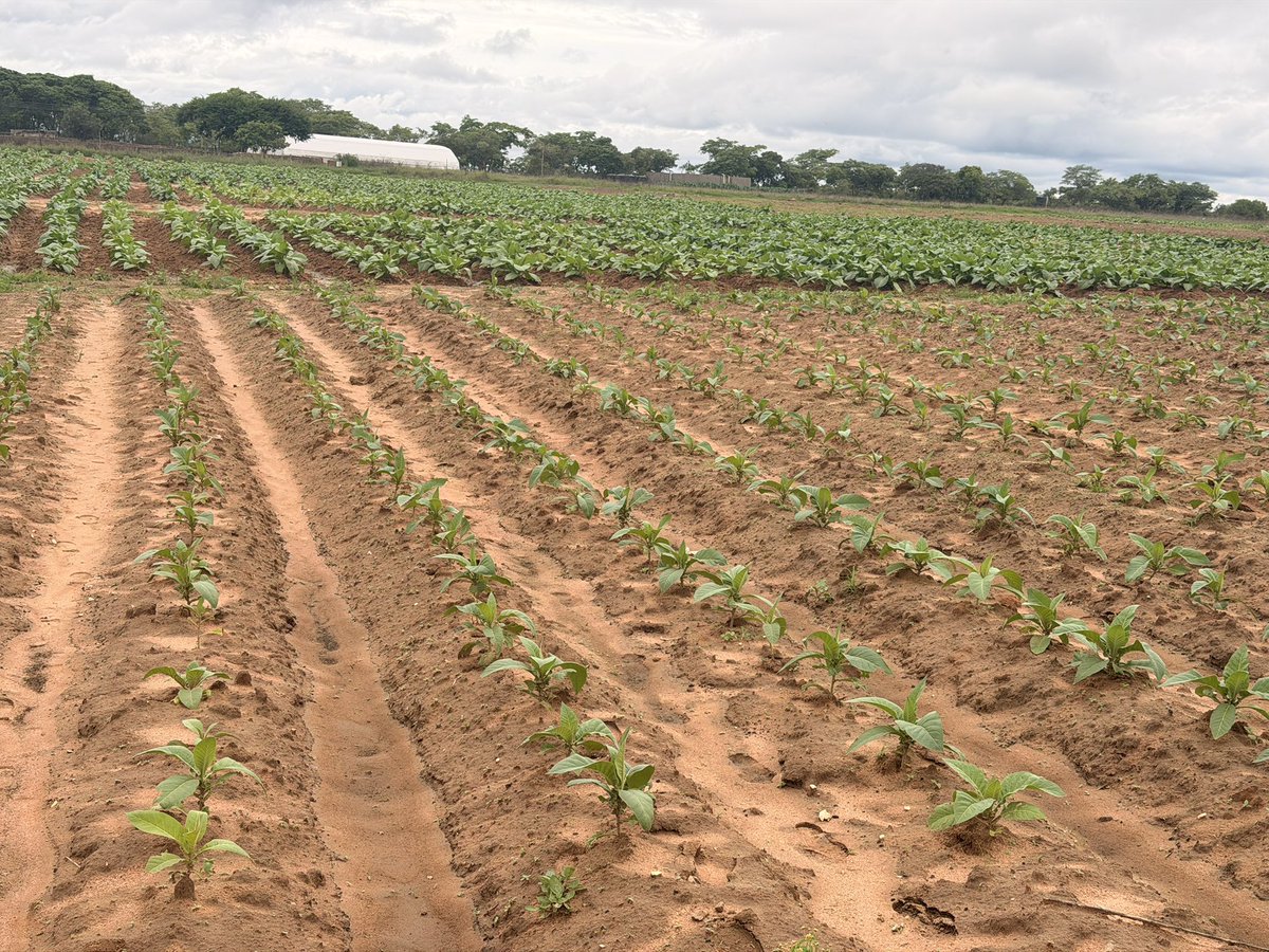 CP Chemicals Pvt Ltd tweet media