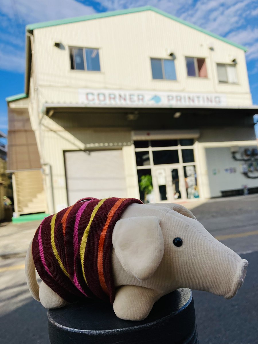 バムセにょろぴち tweet media