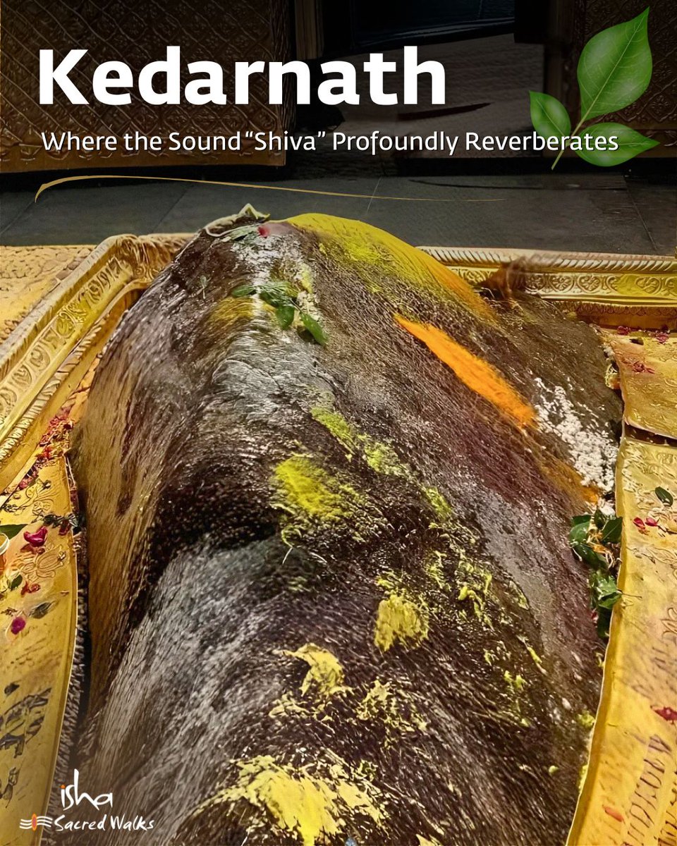 Isha Sacred Walks tweet media